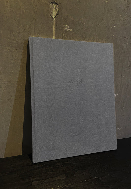 天鵝 | 馬茨‧古斯塔夫森